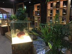 -春润大地海南椰子鸡(沙井京基百纳广场店)