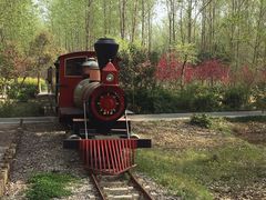 -合肥滨湖国家森林公园