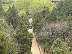 -函谷关历史文化旅游区