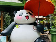 -轩客会(熊猫书店)
