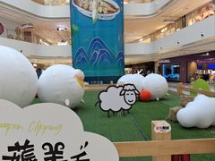 -阳光天地