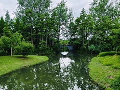 -溱湖国家湿地公园