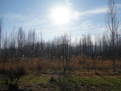 -泸沽湖国家级风景名胜区走婚桥