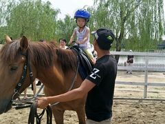 绝对的严肃-月河湾马术俱乐部(朝阳店)