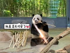 -海南热带野生动植物园