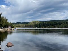-五营红松林海景区