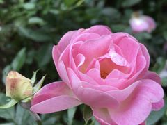 -人民公园(罗湖区)