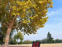 -汉长安城未央宫国家考古遗址公园