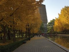 -玲珑塔公园