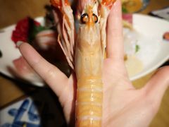 -松岛日本料理(汾江路店)