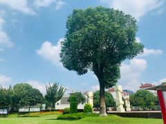 -七宝老街-闵行市民文化广场