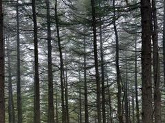 -驼梁风景区