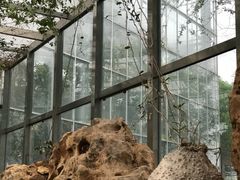 -南通洲际绿博园