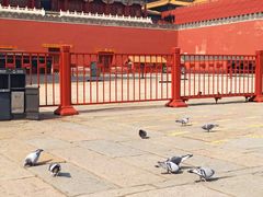 -东华门大街小区