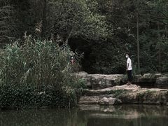 -云溪植物园
