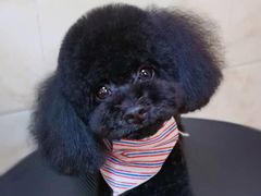 -喵汪宠物生活馆(涞坊路店)