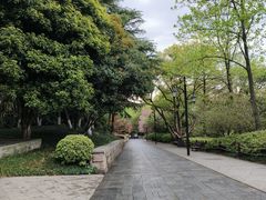 -临平公园(临平街道)