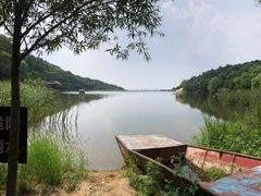 -鲁山国家森林公园