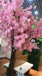 -久匠·纹眉纹绣半永久