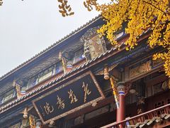 -青羊宫