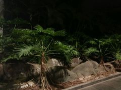 -龙达温泉生态城