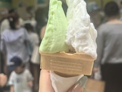 -柠檬车露(卖草地店)