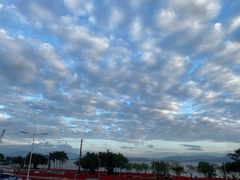 -深圳湾公园(南山区)