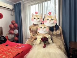 点击看大图 -LAFINE 兰斐婚纱礼服馆