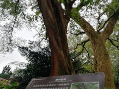 -福清灵石山国家森林公园