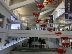 -厦门高崎国际机场-T3航站楼