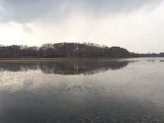 -塞罕坝国家级自然保护区