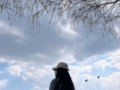-滇池海埂公园