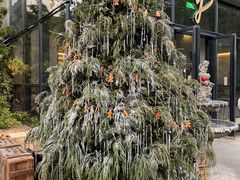 -弗兰克牛排西餐厅Ribone steak house(柠檬花园店)