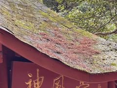 -太湖源风景区