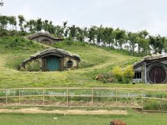 -大塘金香草谷