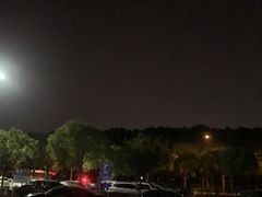 -上海大学生体育中心-游泳馆停车场