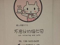 -猫猫幼稚园·撸猫·桌游·电玩