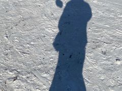 -沈阳奥体冰雪嘉年华