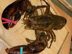 波士顿龙虾-大岛日本料理铁板烧(南通大饭店)