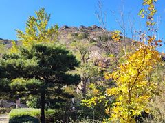 -鹫峰国家森林公园