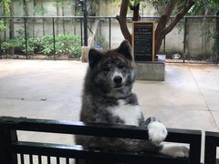 -TrueLove @ Neverland (Husky Cafe)