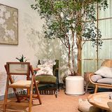 佛山叹啡 | 误入美丽花丛