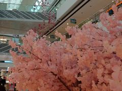 -万达广场(松江店)