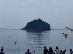 -棒棰岛宾馆景区