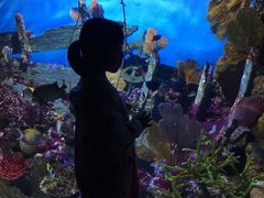 -暹罗海洋世界