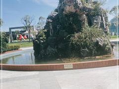 -上海都市菜园