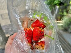 -雪儿钱局泡菜