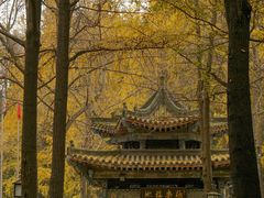 -成都市文殊院