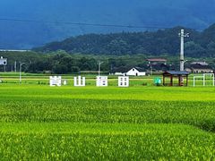 -崀山风景名胜区