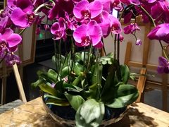 -黔蘑菇四季餐厅(观山湖店)